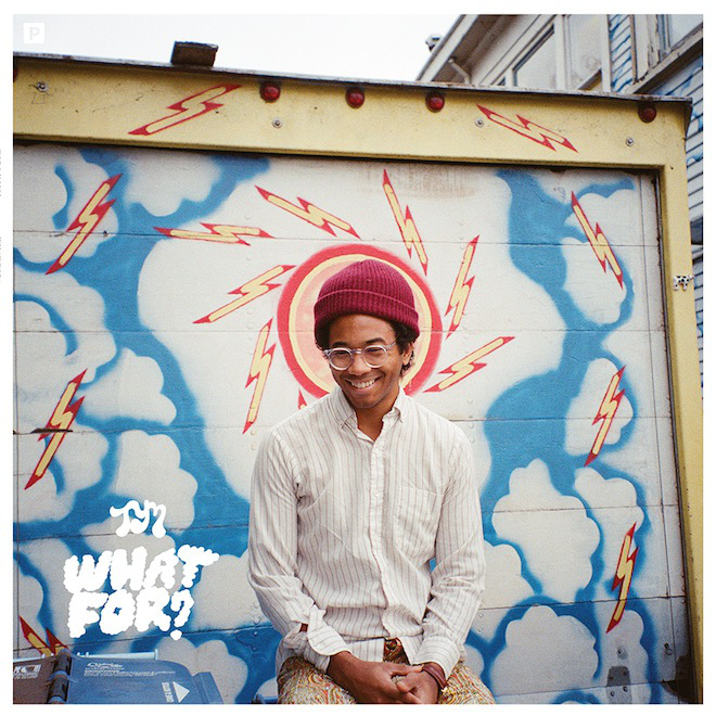 Toro Y moi what for cover